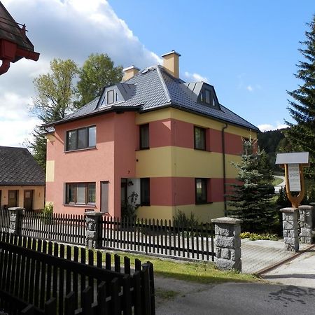 Ubytovani Verner Villa Destne v Orlickych horach Eksteriør bilde
